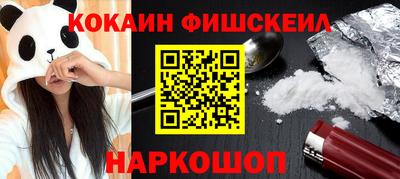 индика Моздок