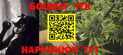 индика Моздок