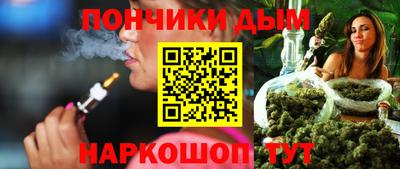 индика Моздок