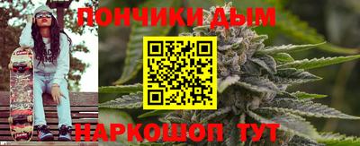 индика Моздок