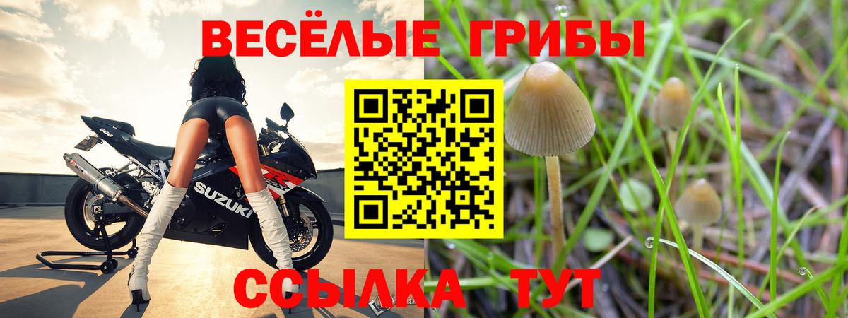 Чита  Галлюциногенные грибы Psilocybine cubensis  Вход с VPN  Галлюциногенные грибы мицелий 